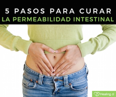 intestinal-permeablildad.jpg